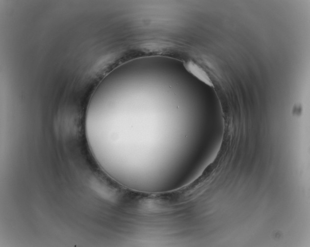 X0000091300408200708172212