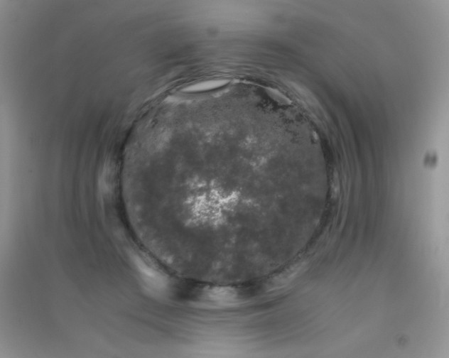 X0000091300409200708172212