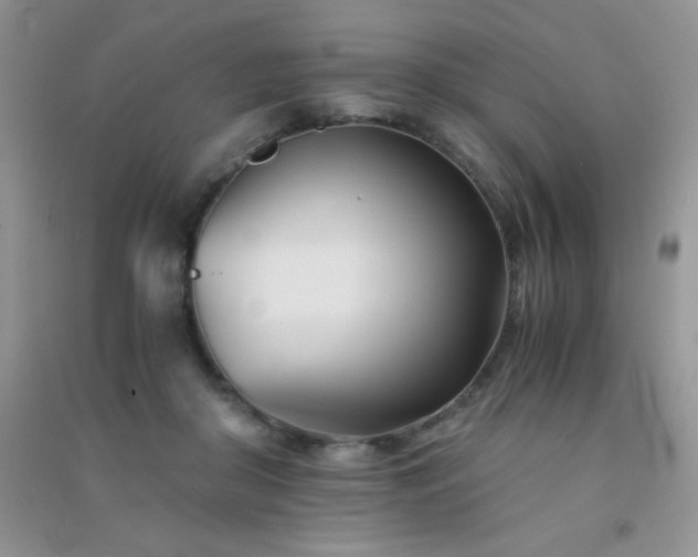 X0000091300410200708172212