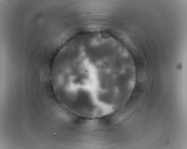 X0000091300411200708172212