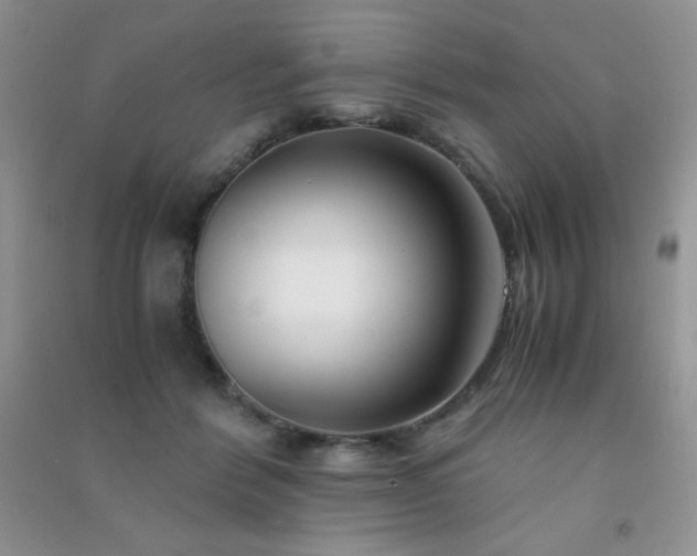 X0000091300412200708172212