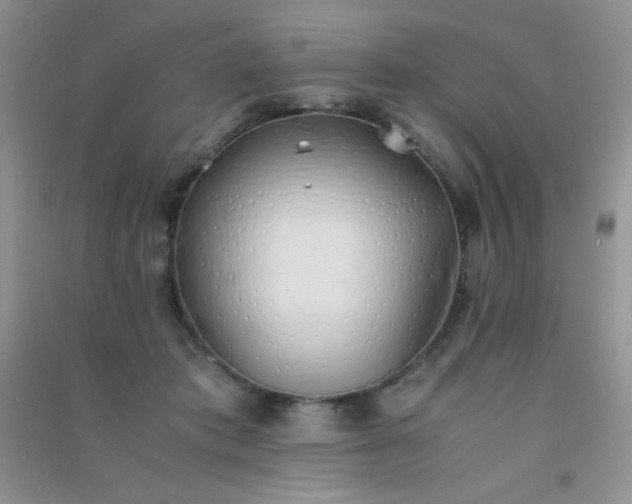 X0000091300413200708172212