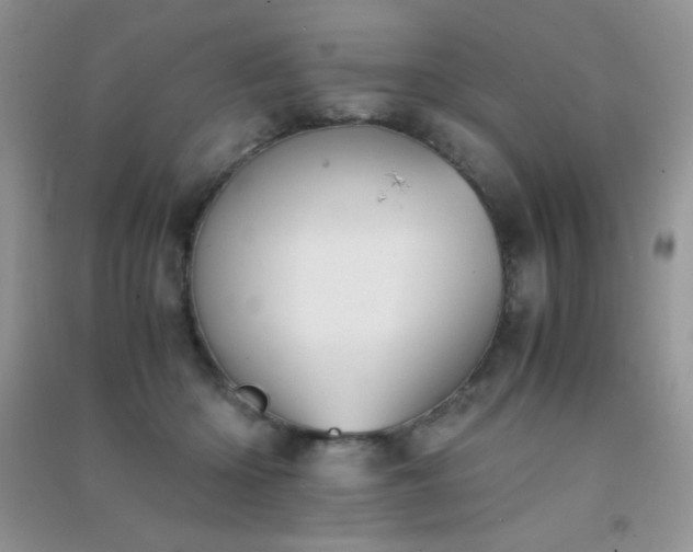 X0000091300414200708172212