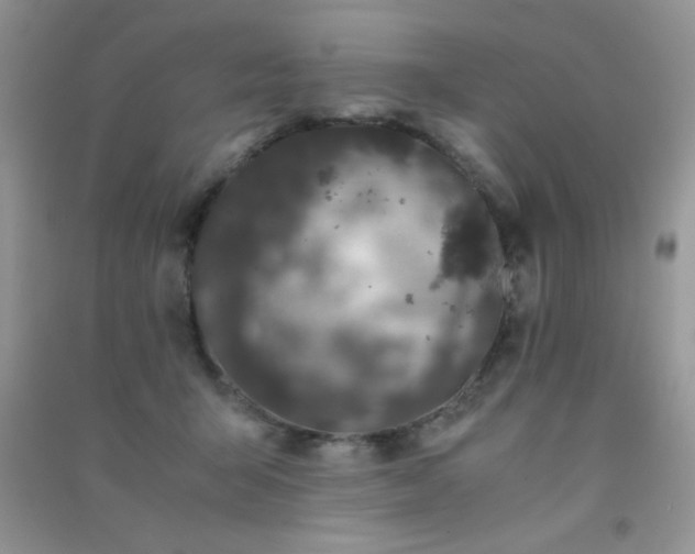 X0000091300415200708172212