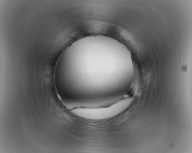 X0000091300416200708172212