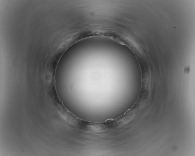 X0000091300417200708172212