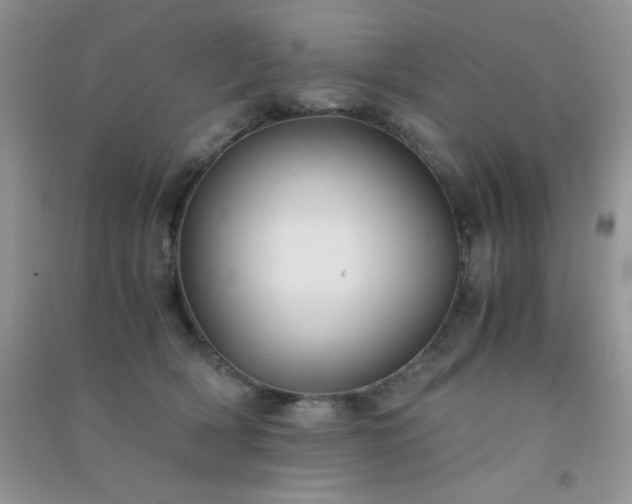 X0000091300418200708172212