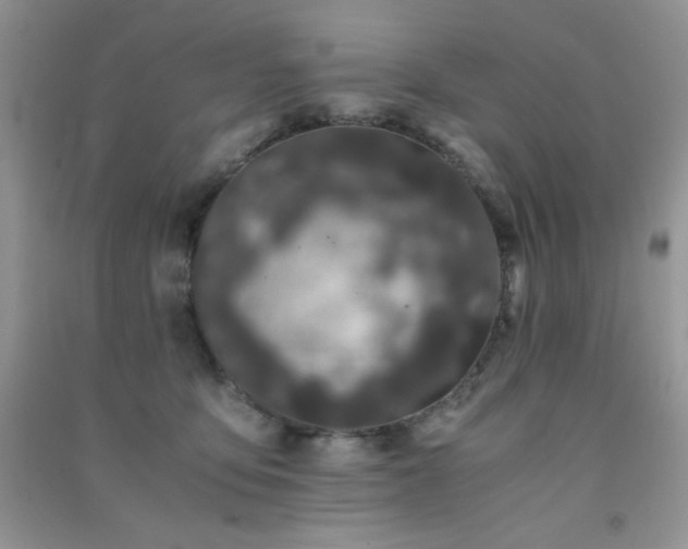 X0000091300419200708172212