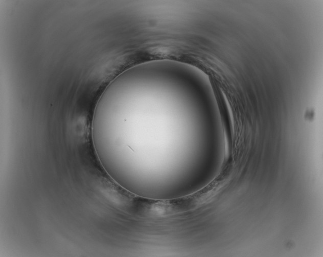 X0000091300420200708172212