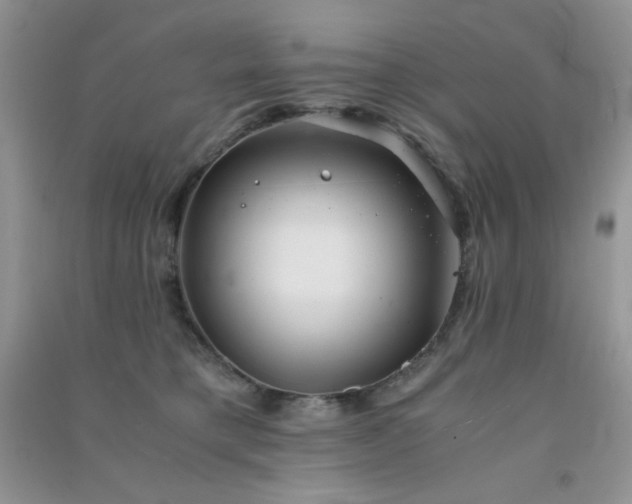 X0000091300421200708172212