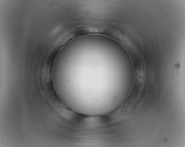 X0000091300422200708172212