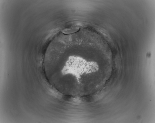 X0000091300423200708172212