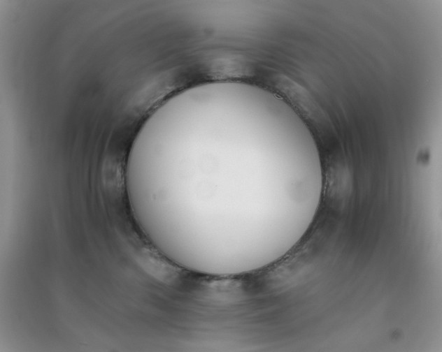 X0000091300426200708172212