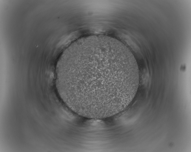 X0000091300427200708172212