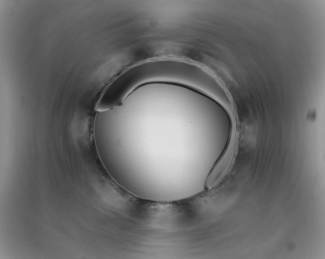 X0000091300428200708172212