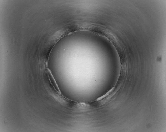 X0000091300429200708172212