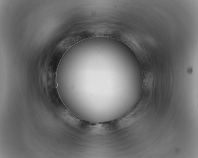 X0000091300430200708172212