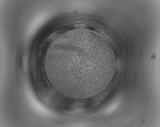 X0000091300431200708172212