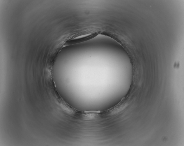 X0000091300432200708172212