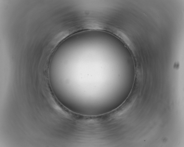 X0000091300433200708172211