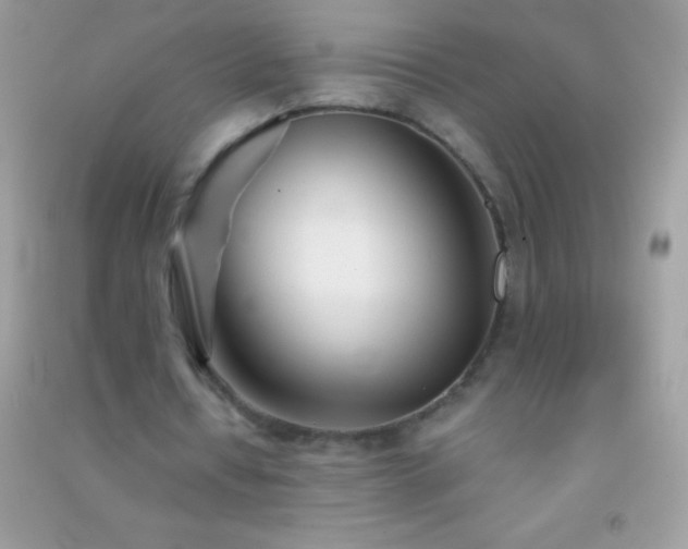 X0000091300434200708172211