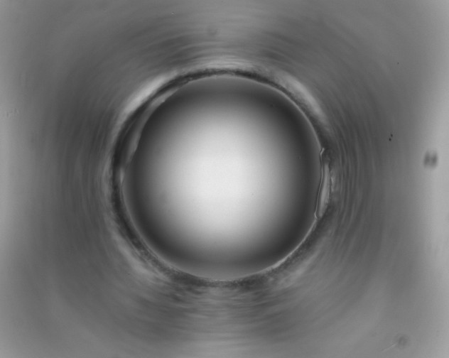 X0000091300436200708172211