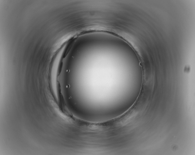 X0000091300437200708172211