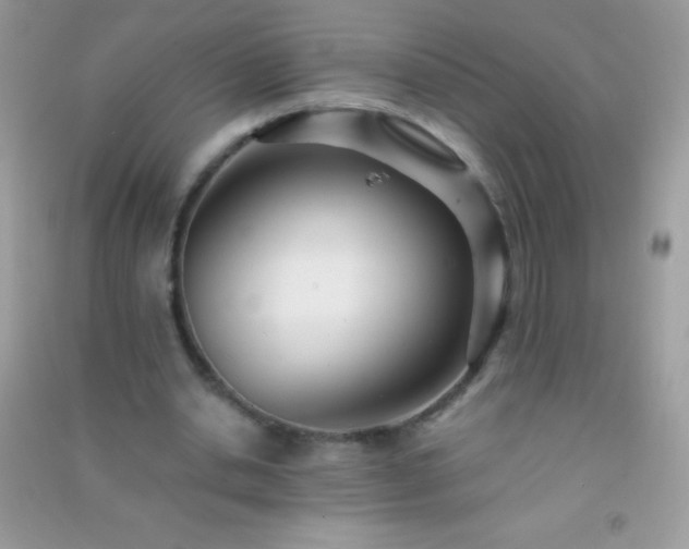 X0000091300438200708172211