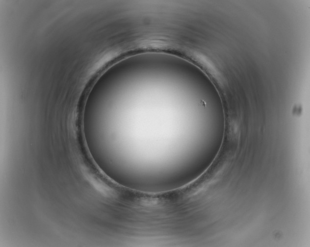 X0000091300439200708172211