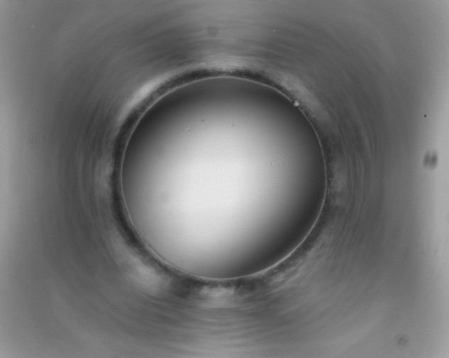 X0000091300440200708172211