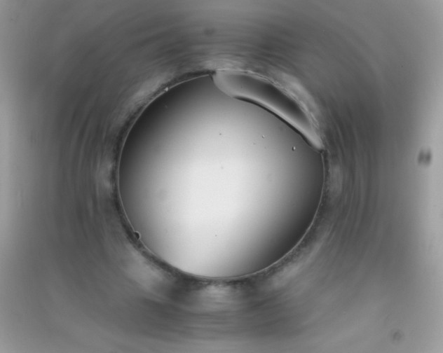 X0000091300441200708172211