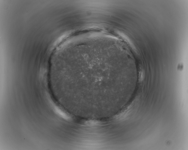 X0000091300444200708172212