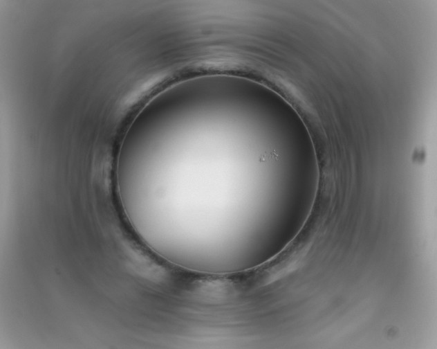 X0000091300446200708172212