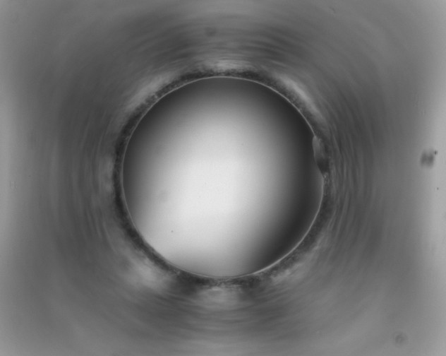 X0000091300447200708172212