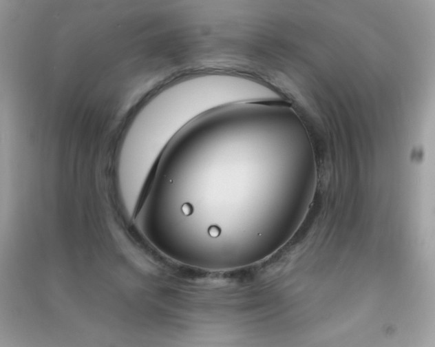 X0000091300448200708172212