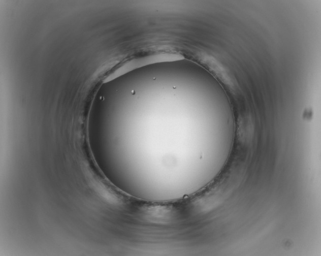 X0000091300449200708172212