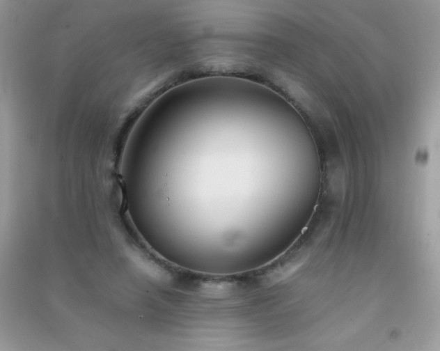 X0000091300450200708172212