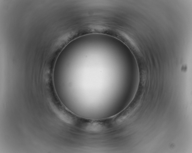 X0000091300451200708172212