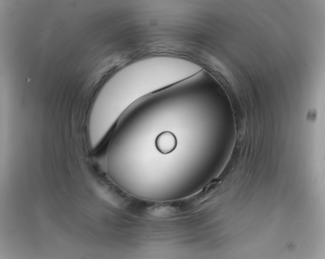 X0000091300452200708172212