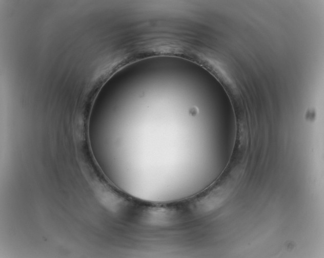 X0000091300453200708172212