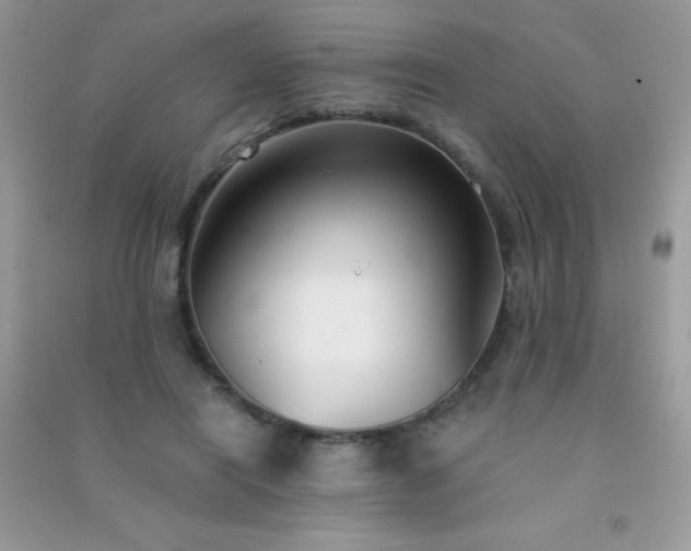 X0000091300454200708172212