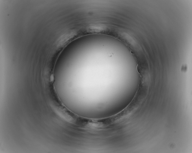 X0000091300455200708172212