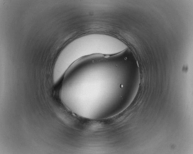 X0000091300456200708172212