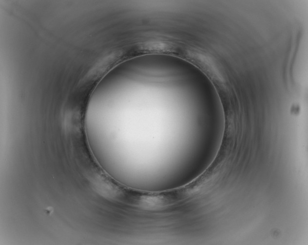 X0000091300457200708172212