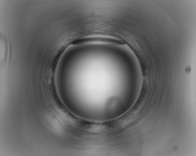 X0000091300458200708172212