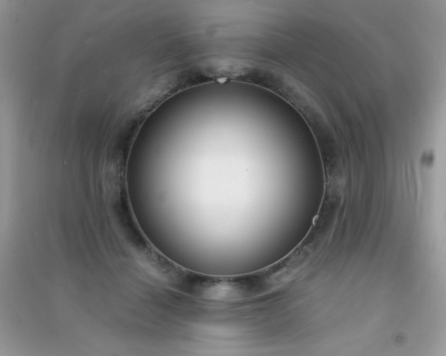 X0000091300460200708172212