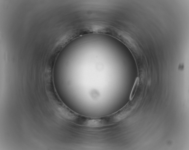 X0000091300461200708172212