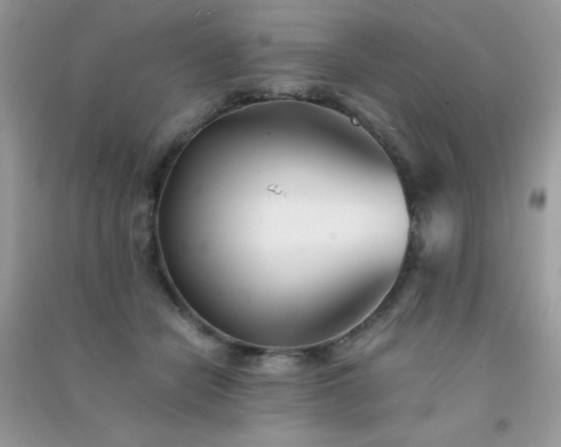 X0000091300462200708172212