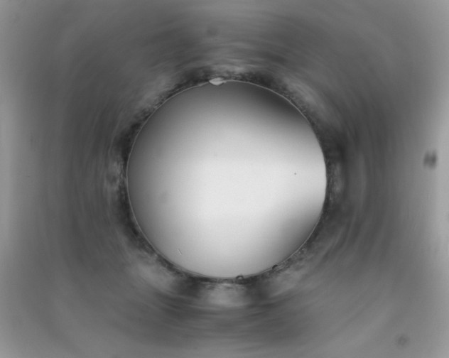 X0000091300463200708172212