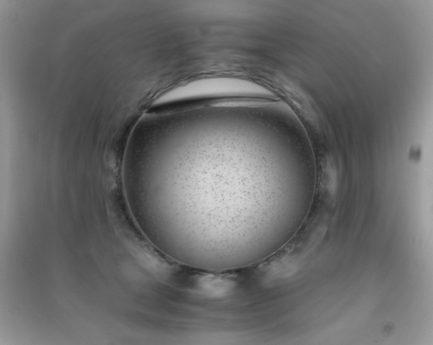 X0000091300465200708172212